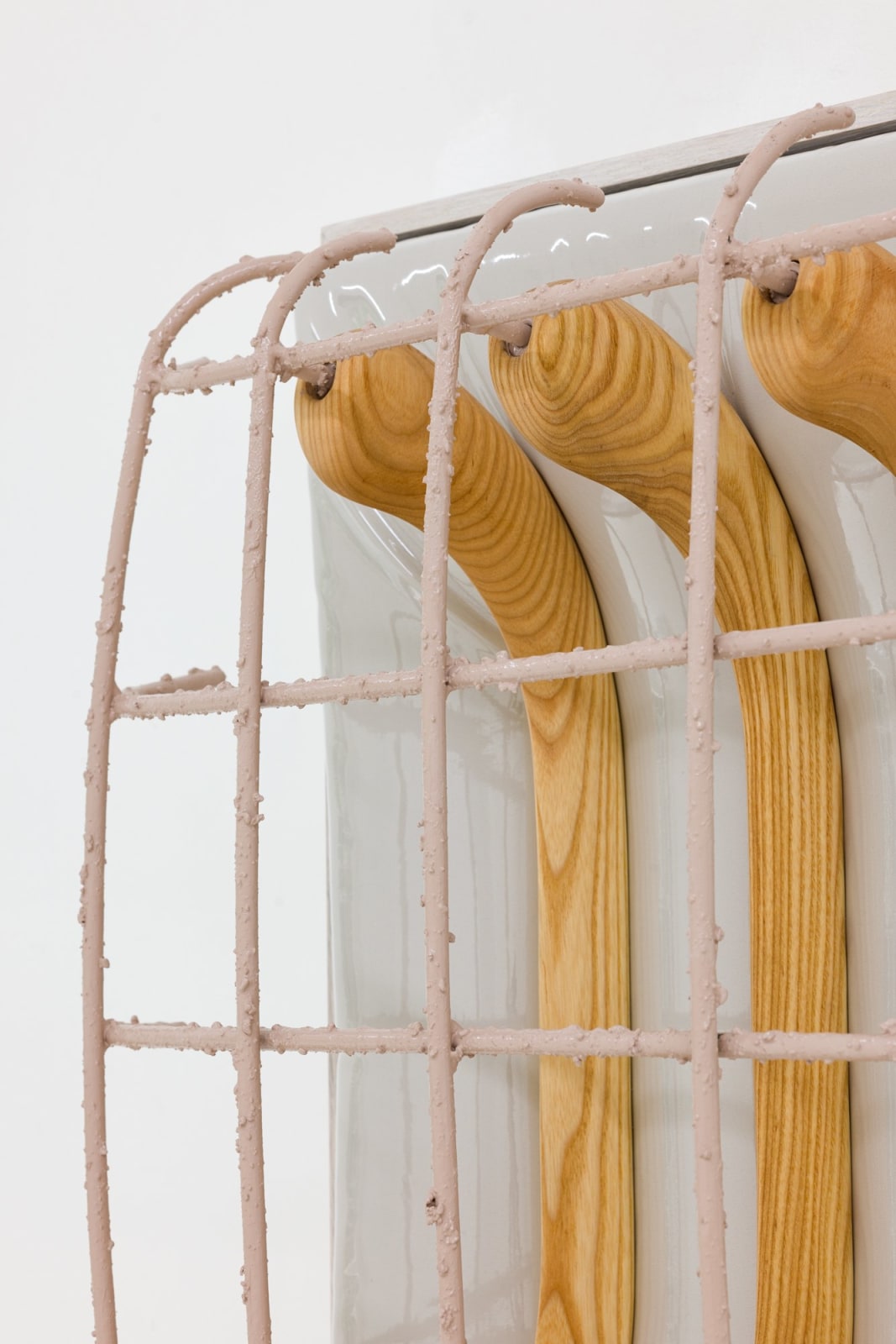 Douglas Rieger 道格拉斯·莱杰, Bone Cage 骨架, 2022