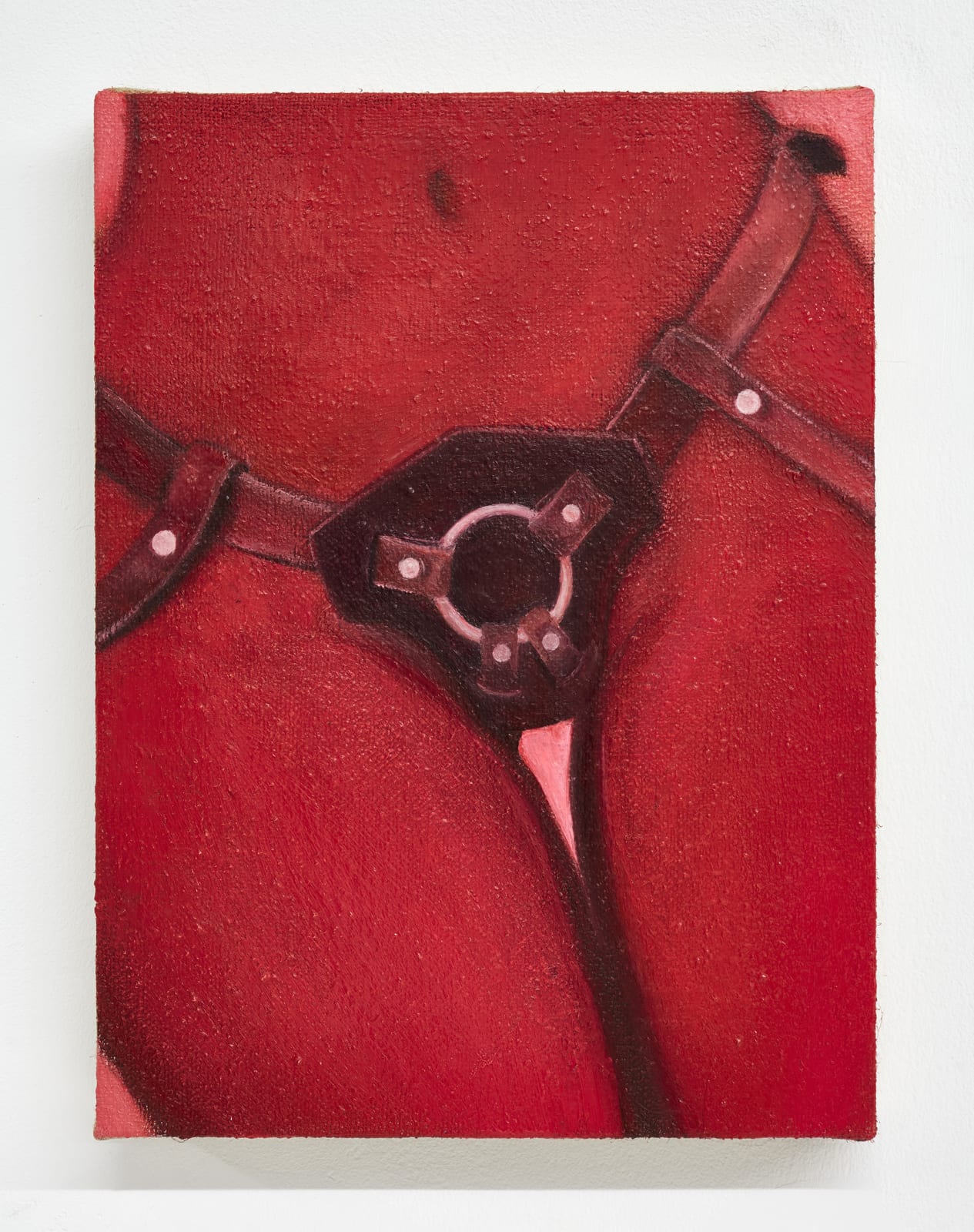 Tao Siqi 陶斯祺, Harness 缚, 2021