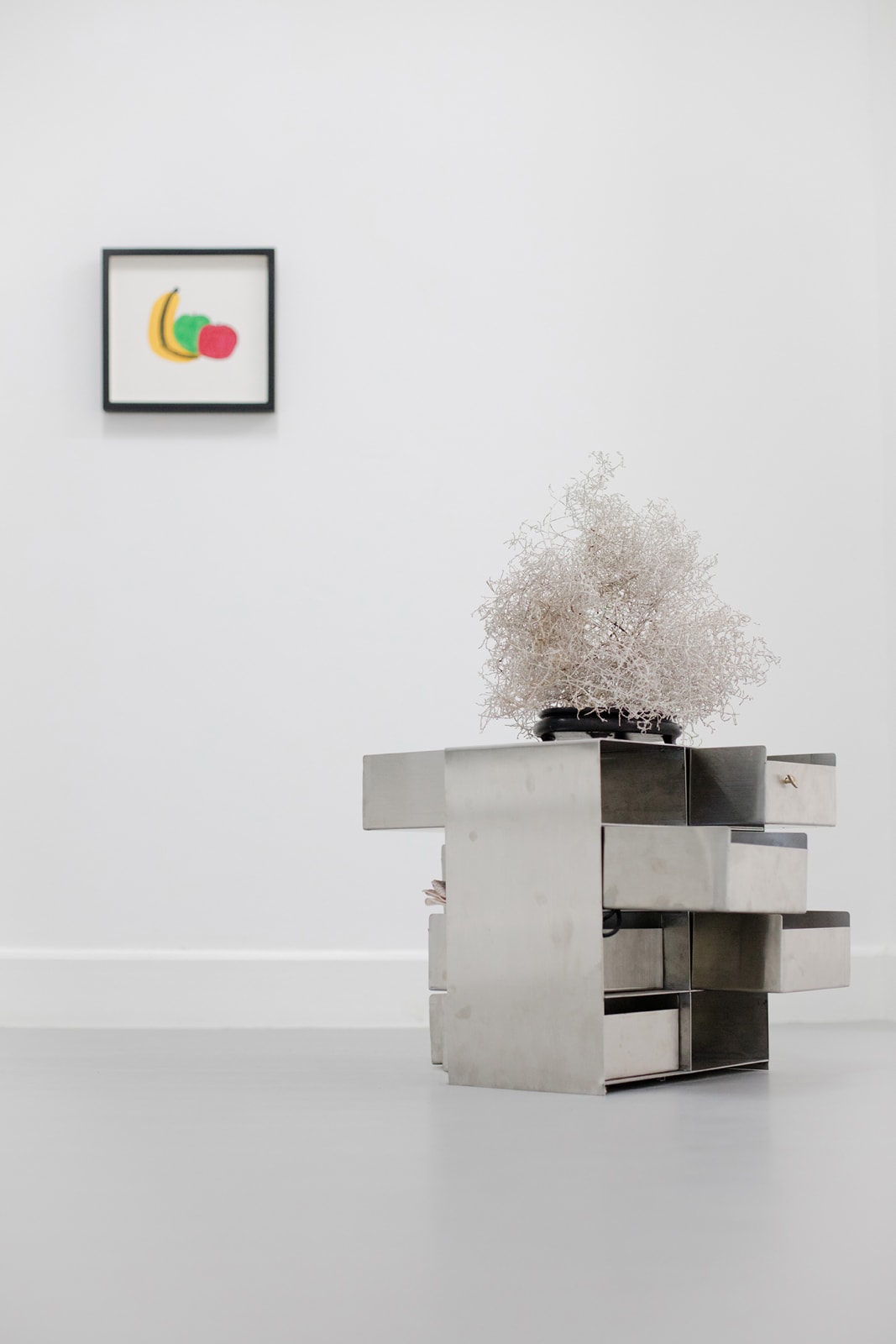 Ali Van 万振宇, Life and Death of a Plant, PLANTLIFE, Landschaft, Banana, Apple, Apple (1996), JUNGLERECORD, 2017