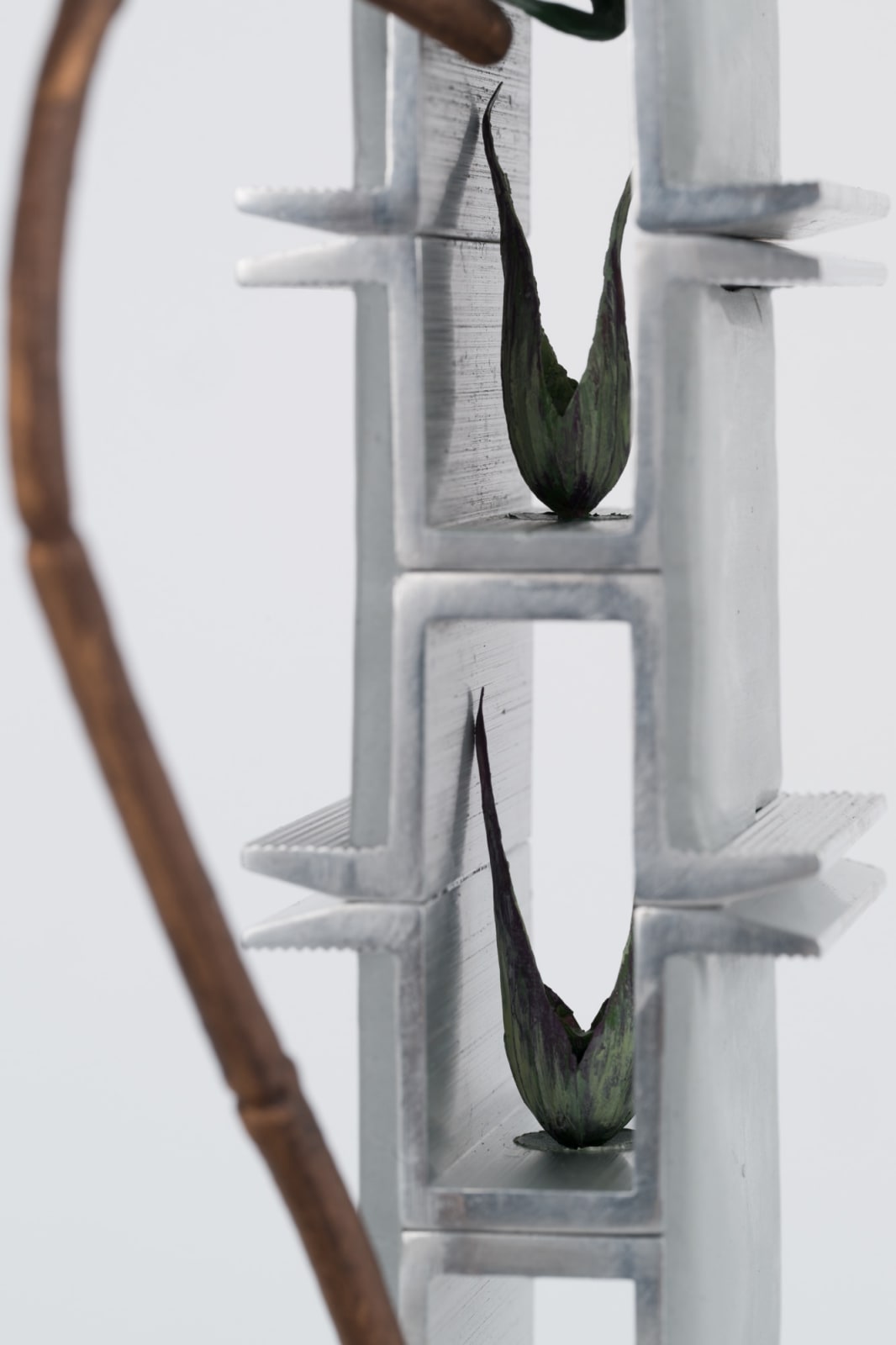 Leelee Chan 陳麗同, Garden Tower 花园塔楼, 2024