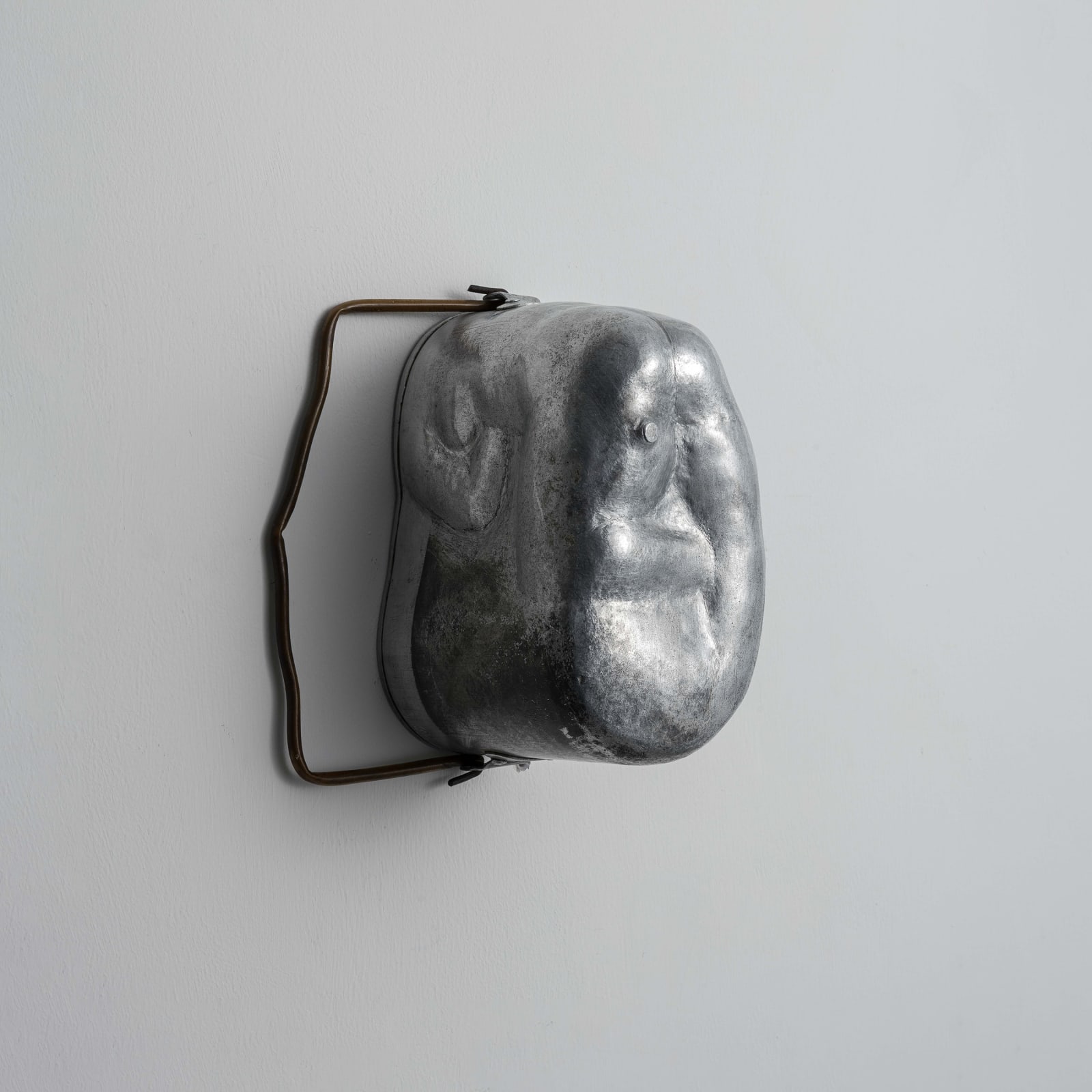 Tian Jianxin 田建新, Kidney (main body) 腰子主体, 2022