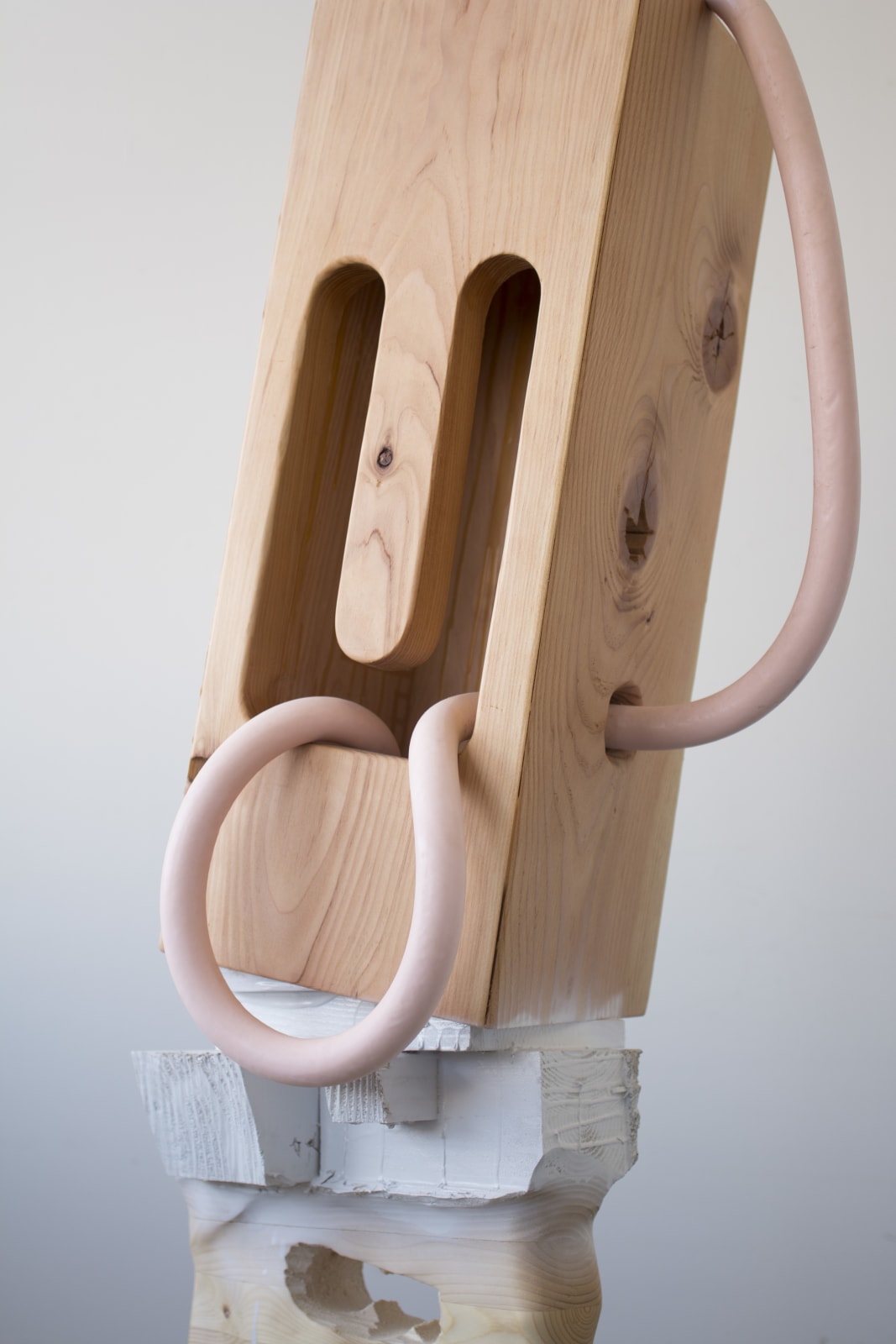 Douglas Rieger 道格拉斯·莱杰, Flasher 袒露, 2017