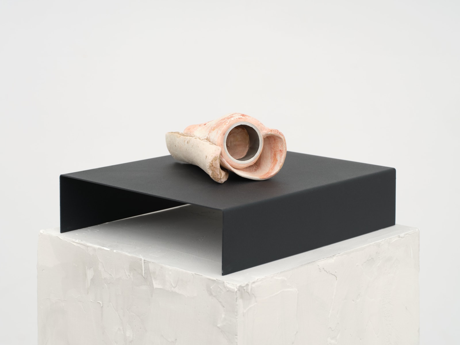 Leelee Chan 陳麗同, Coil 蜷曲, 2024