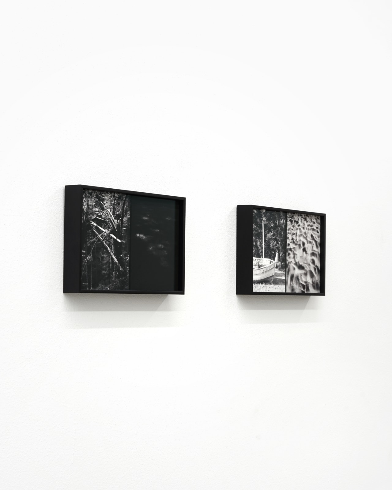 Luca Campestri 卢卡·坎佩斯特里, Necromass 长眠物, 2025