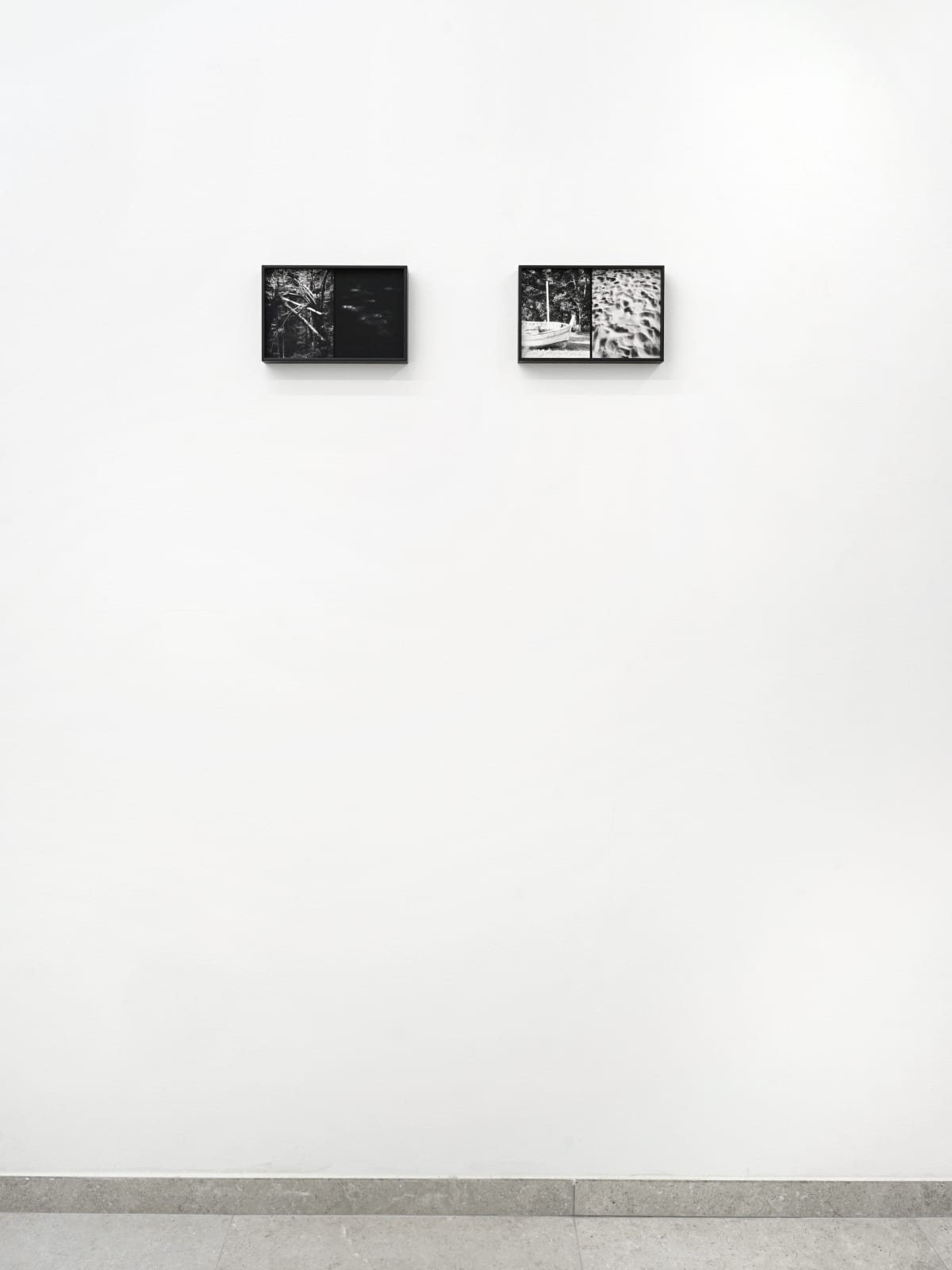 Luca Campestri 卢卡·坎佩斯特里, Necromass 长眠物, 2025