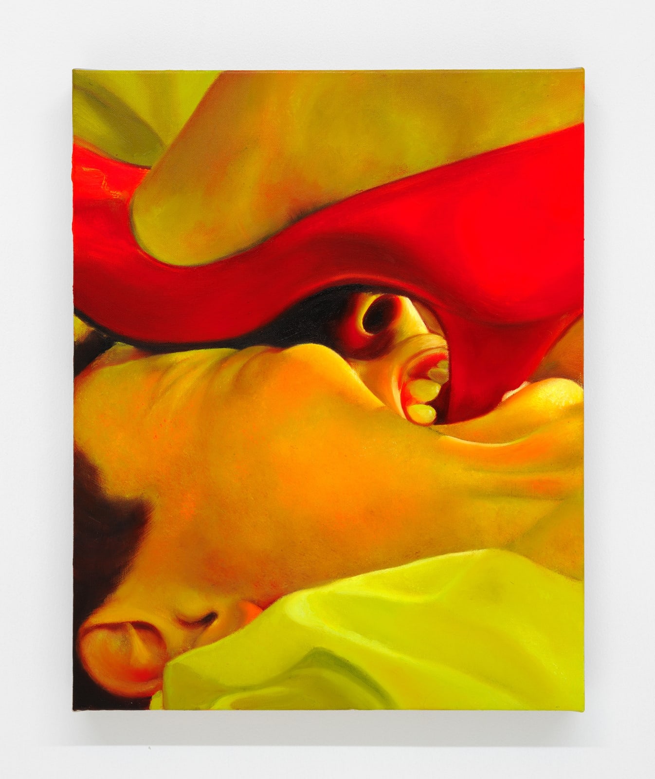 Tao Siqi 陶斯祺, Scarlet 猩红, 2024