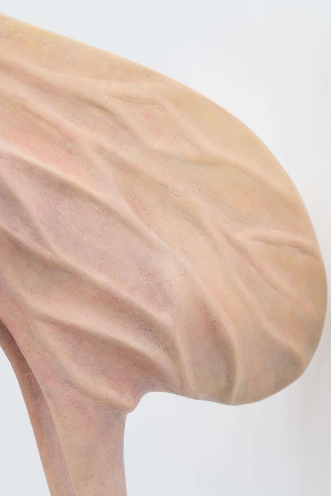 Liao Wen 廖雯, Tender Residue #1 柔软的剩余物 #1, 2024