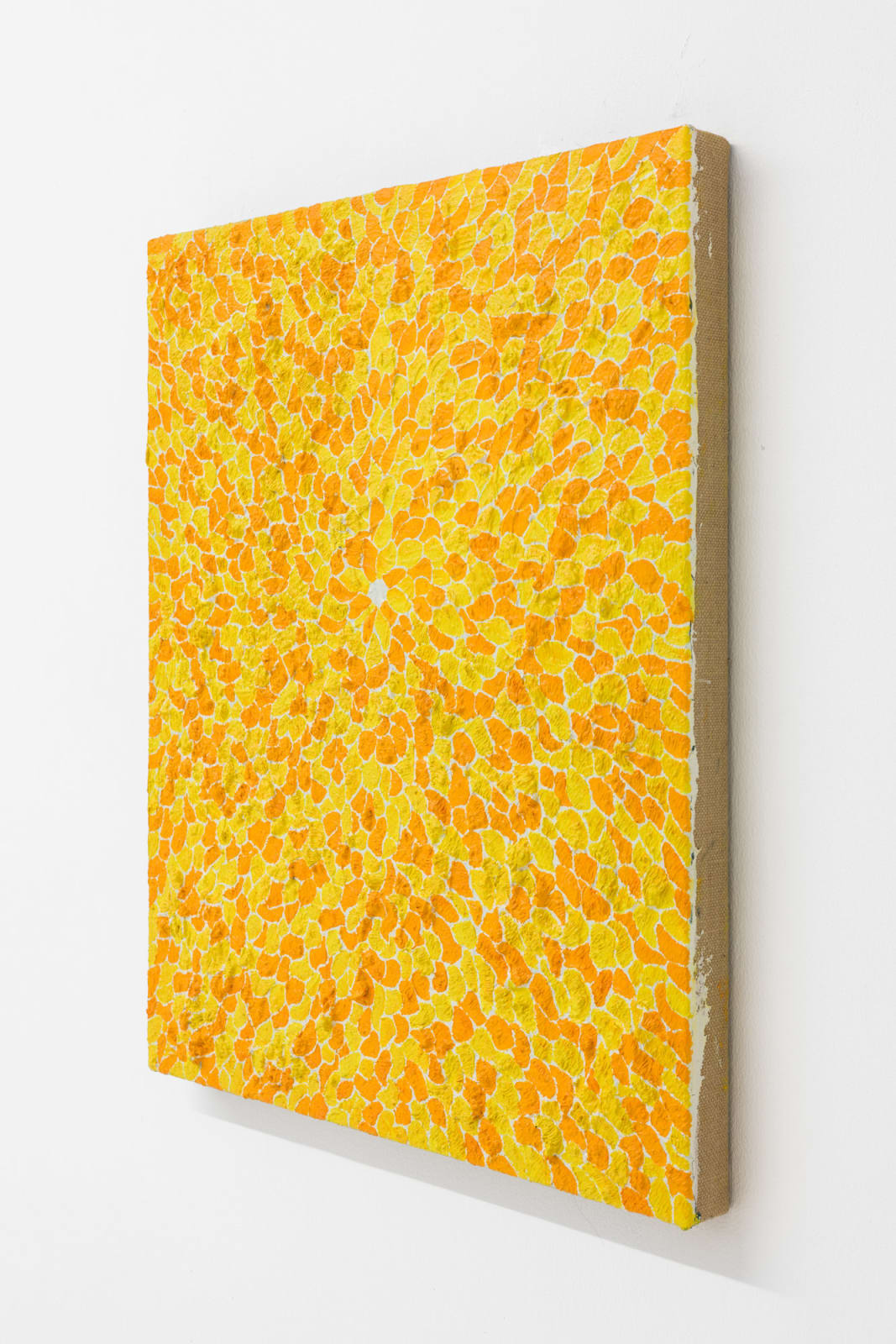Daniel Chen 陈飞, Yellow Flower 黄花, 2022