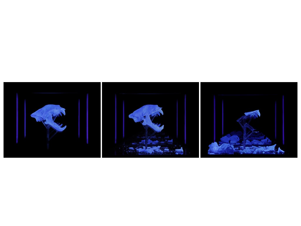 Maya Kramer 玛雅·克莱默, There is Nothing You Can Measure Anymore 没有什么可以再测量的 , 2010-2013