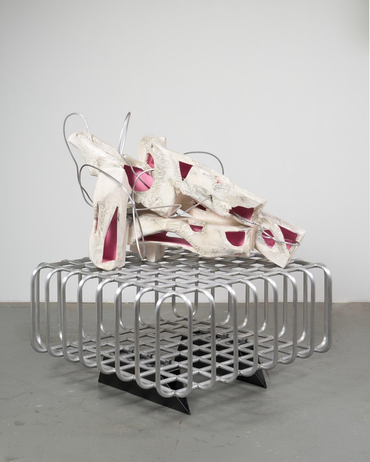 Douglas Rieger 道格拉斯·莱杰, Invisible Dragon (Int.Strain) 不可见之龙（内部张力）, 2025