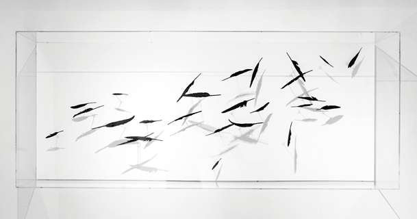 Maya Kramer 玛雅·克莱默, Against the Wind 逆风而行, 2014