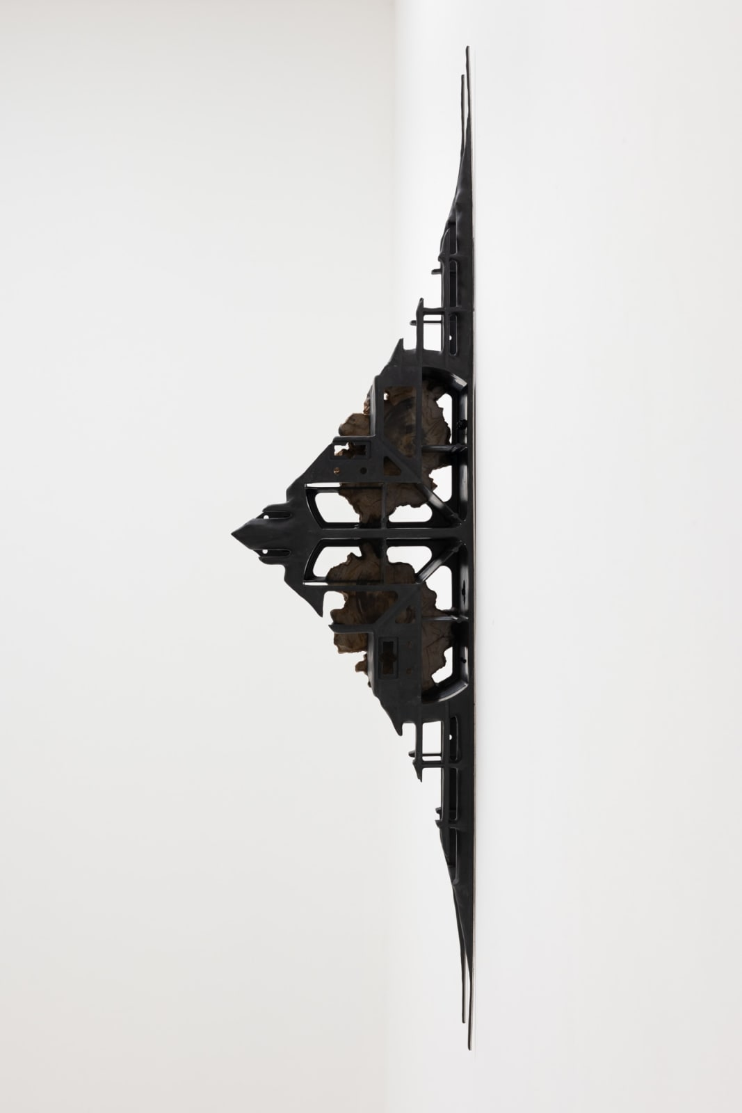 Leelee Chan 陳麗同, Moth (Blinded Sphinx) 蛾（失明斯芬克斯）, 2023
