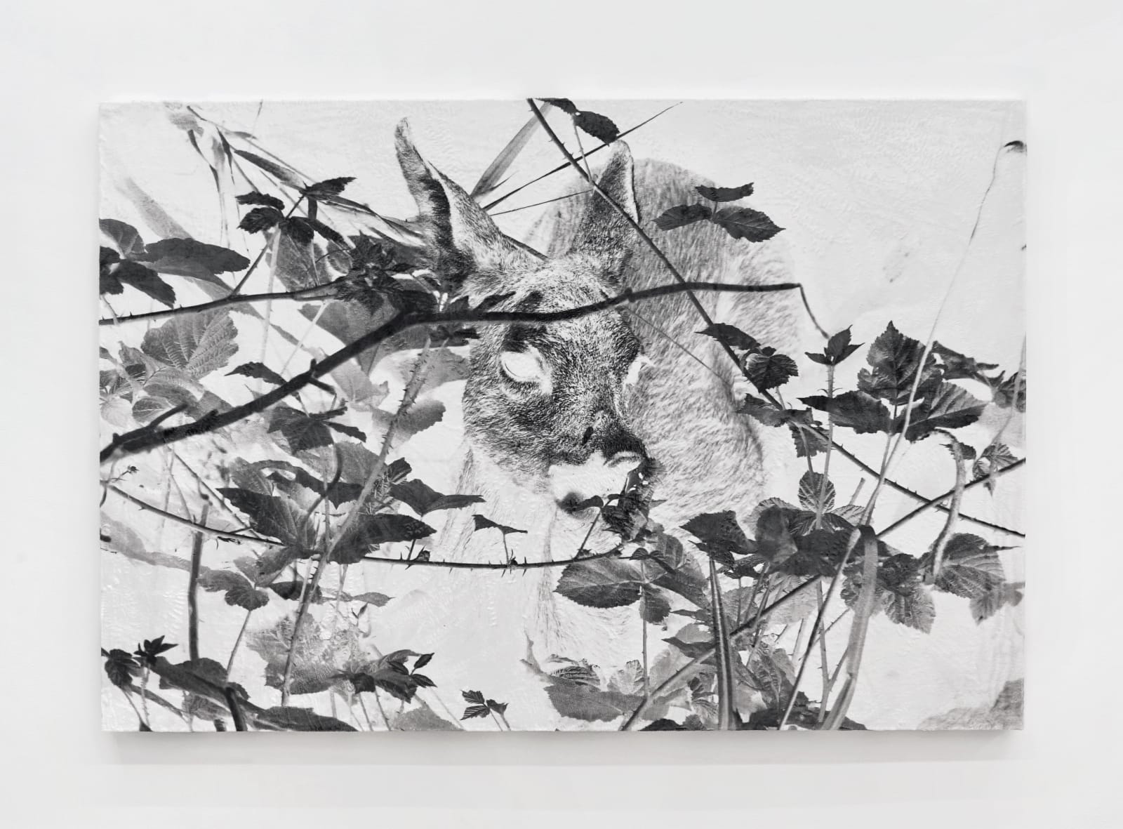 Luca Campestri 卢卡·坎佩斯特里, Like Velvety Scars 像天鹅绒般的伤痕, 2024