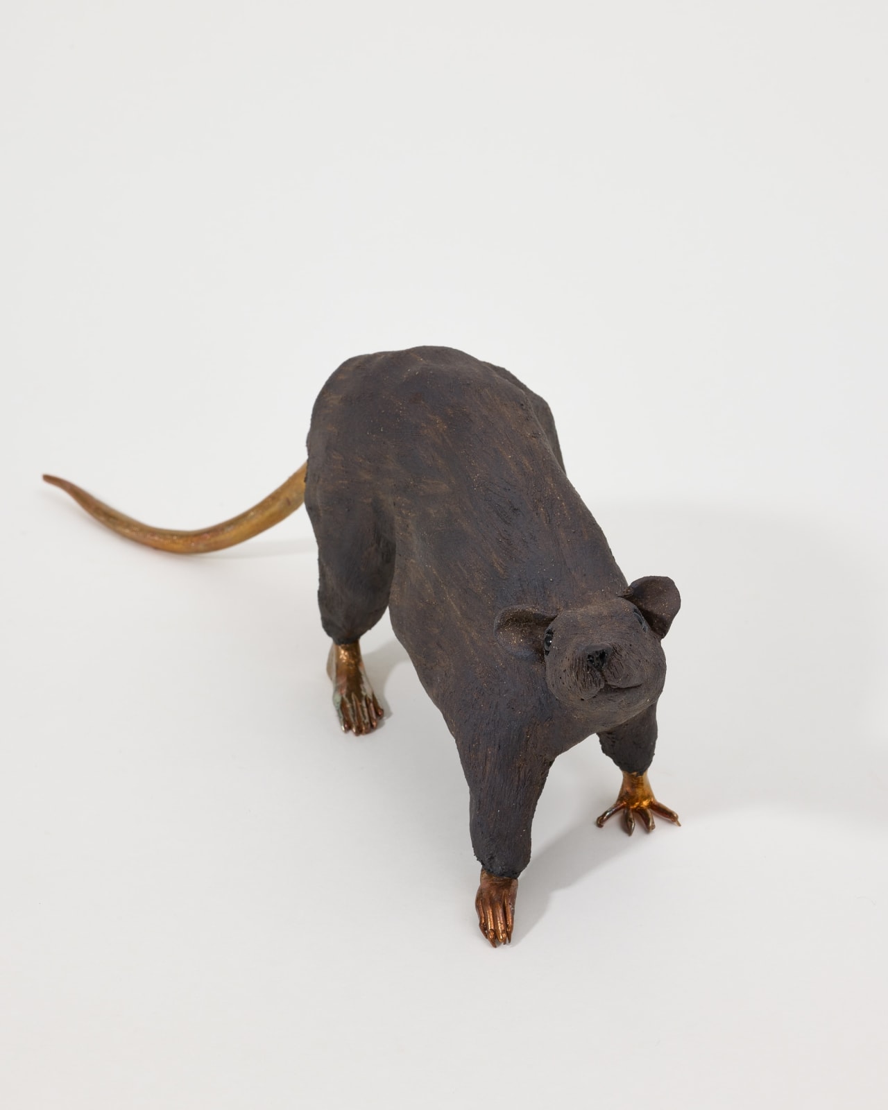 Elizabeth Jaeger 伊丽莎白·耶格, Rat 老鼠, 2024
