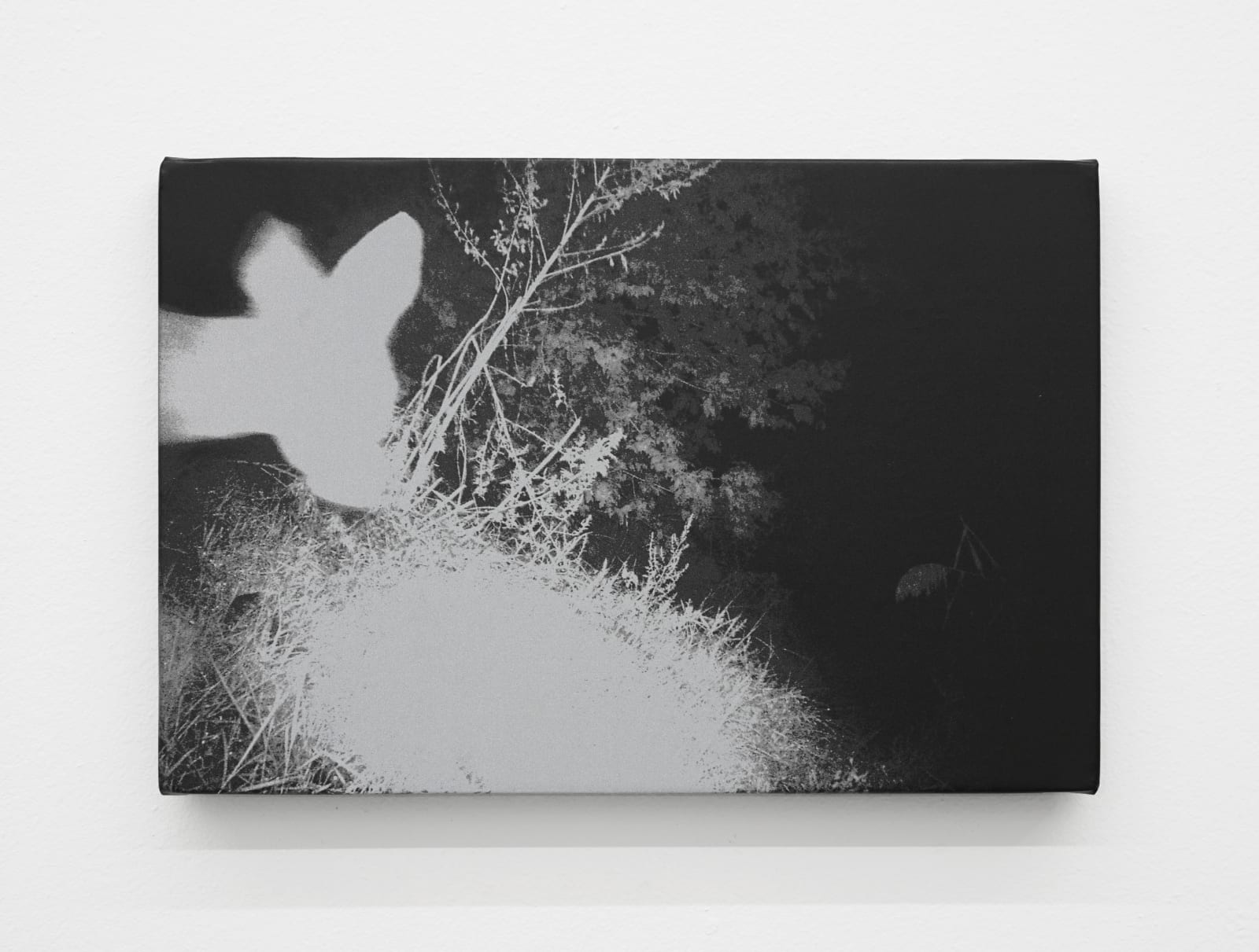 Luca Campestri 卢卡·坎佩斯特里, Trapped 困, 2025