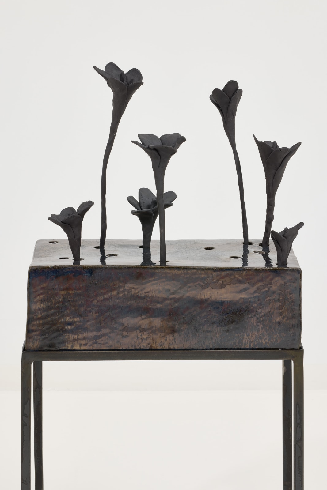 Elizabeth Jaeger 伊丽莎白·耶格, Fushimi 伏见, 2024