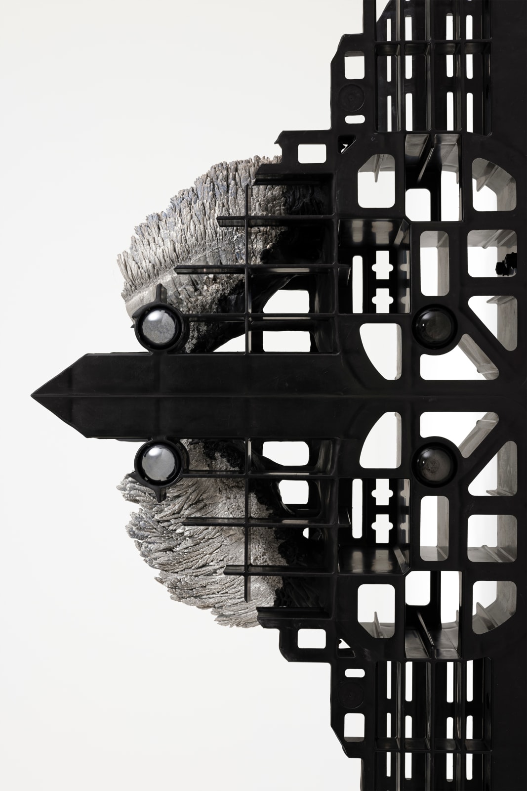 Leelee Chan 陳麗同, Moth (Silver Cloud) 蛾（银云）, 2023
