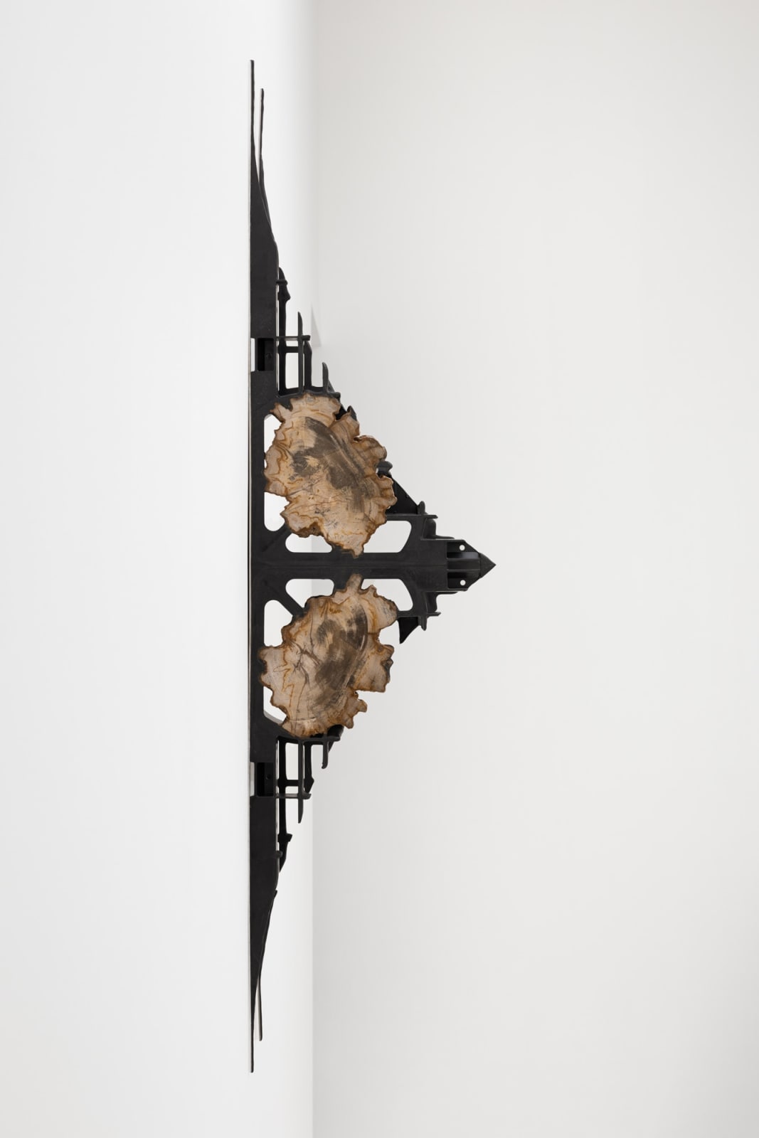 Leelee Chan 陳麗同, Moth (Blinded Sphinx) 蛾（失明斯芬克斯）, 2023