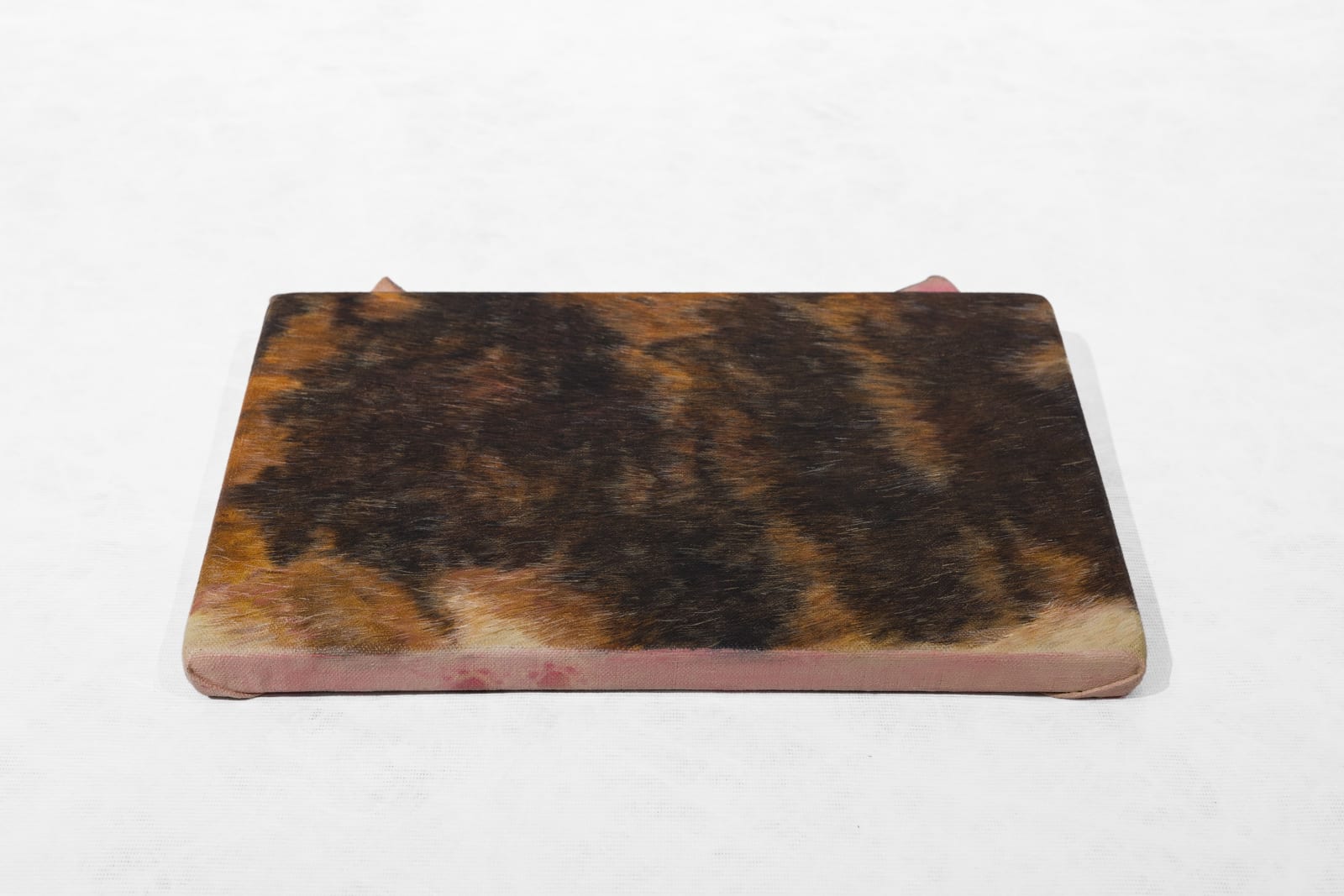 Ryosuke Kumakura 熊倉良介, Fur 皮毛, 2020