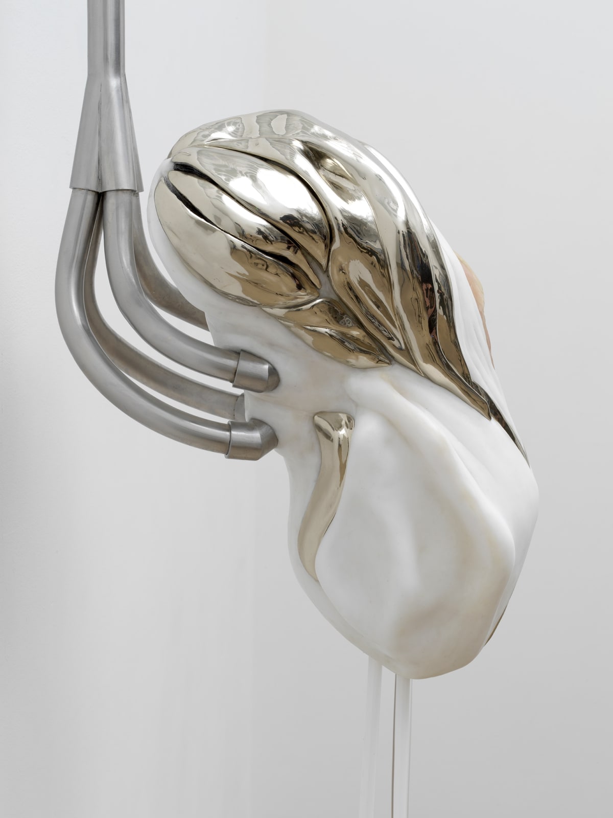 Ivana Bašić 伊凡娜·帕斯奇, Pneumatic Positions II: Blossoming 气动姿态II：绽放, 2023