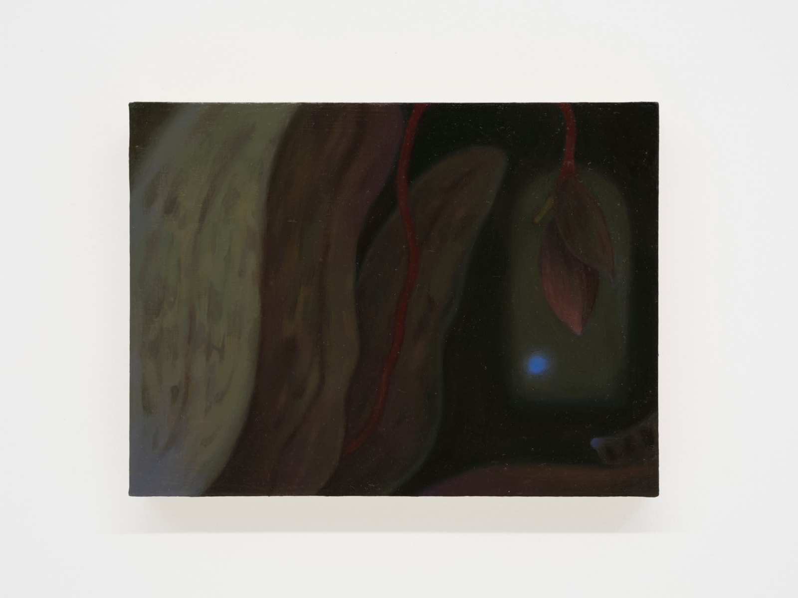 Cheng Chit Yan 郑喆欣, The Bed and the Lady’s Slipper 床与兜兰, 2025