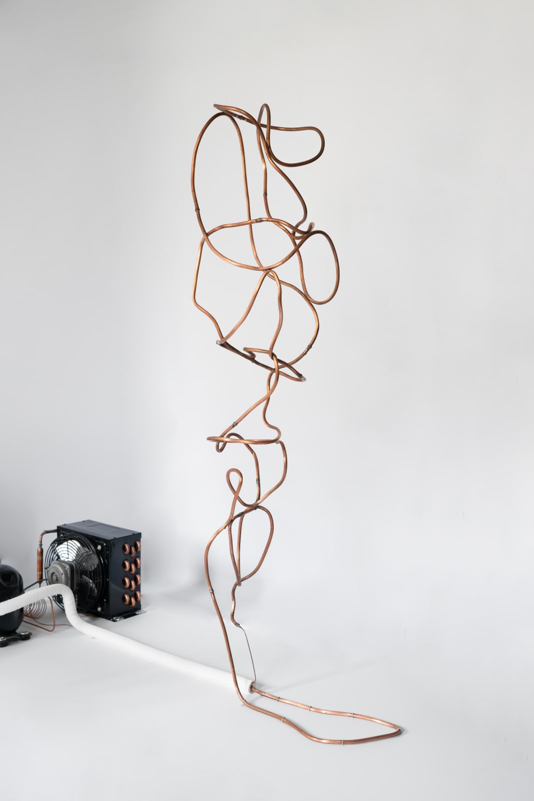 Maya Kramer 玛雅·克莱默, Preserved II 藏蓄 II, 2018