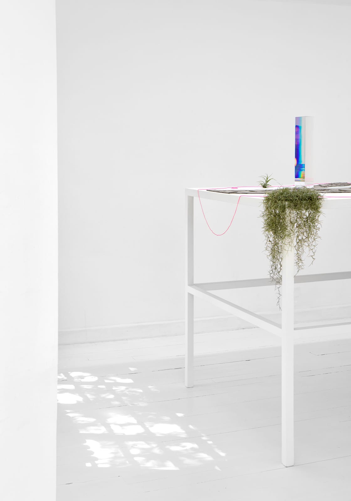 Alice Wang 王凝慧, Untitled 无题, 2021