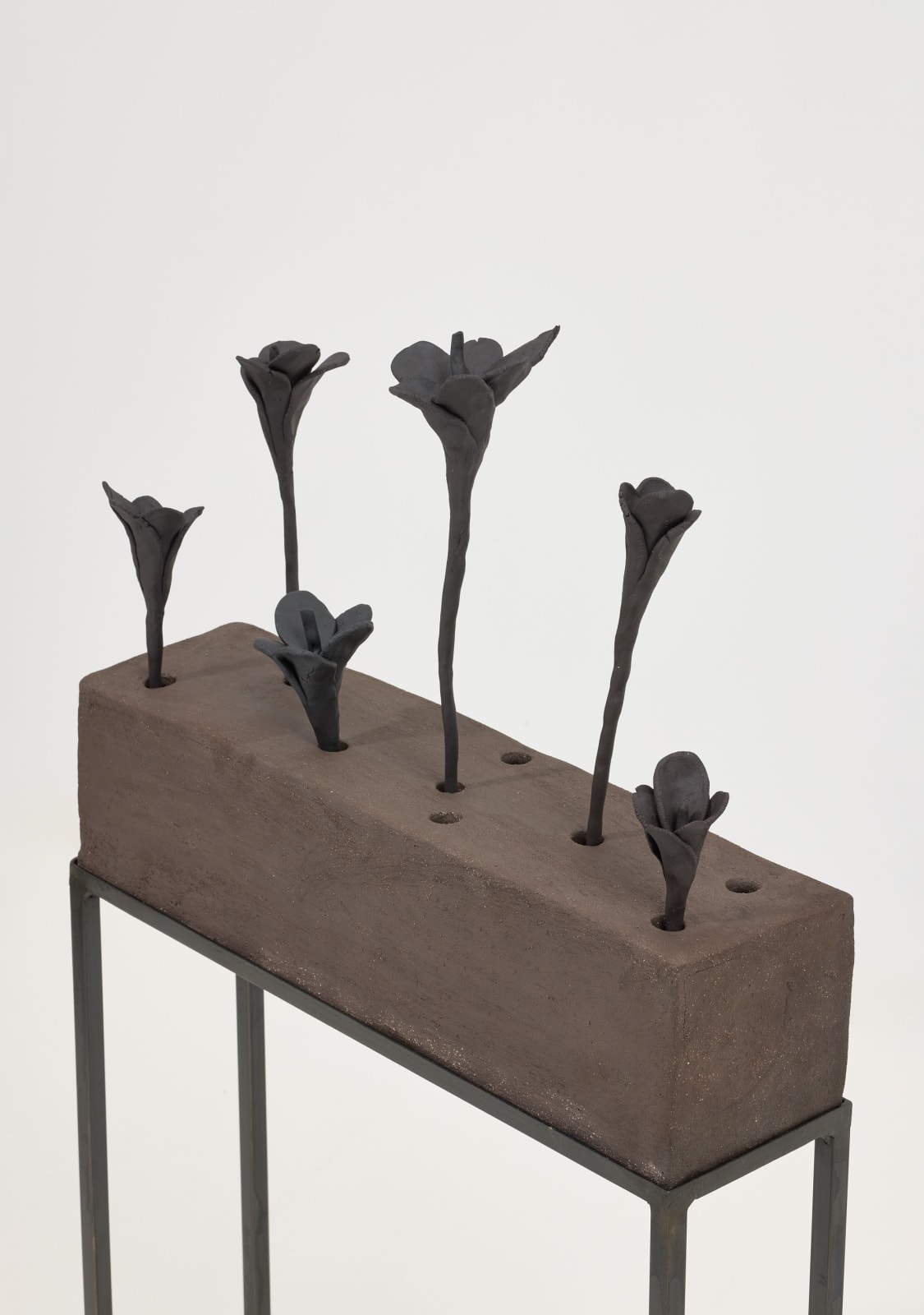 Elizabeth Jaeger 伊丽莎白·耶格, Colma 科尔马, 2024