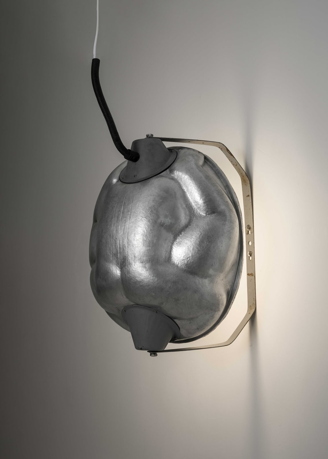 Tian Jianxin 田建新, Beetle 甲虫, 2023