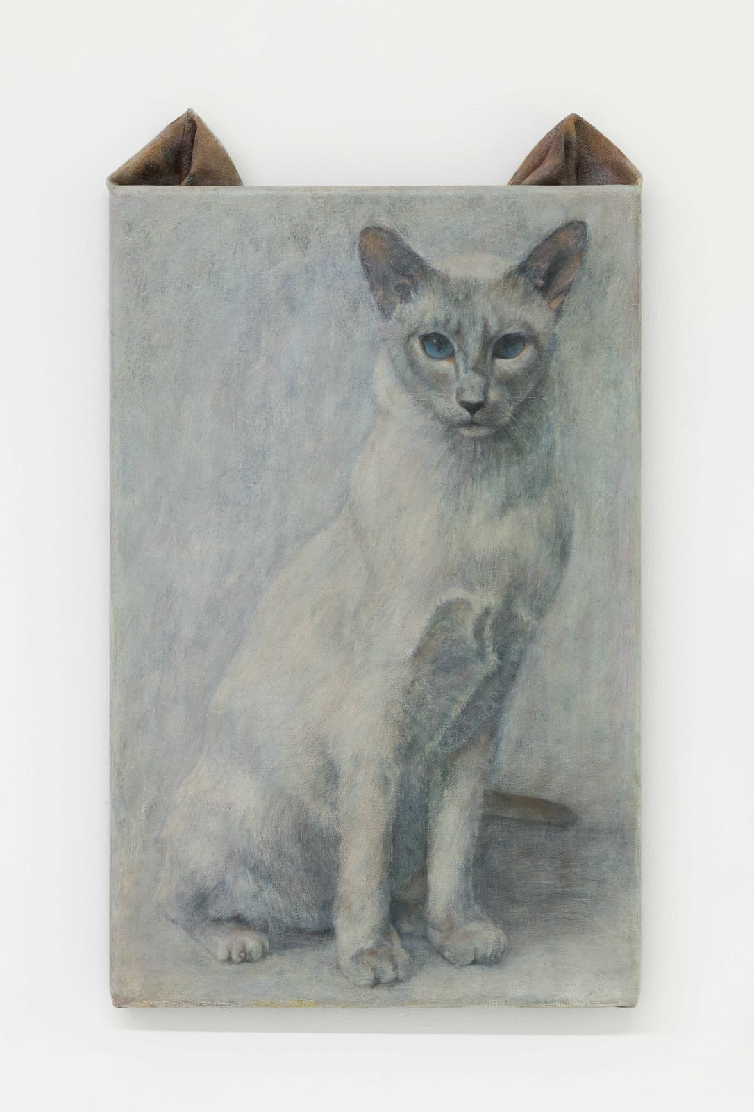 Ryosuke Kumakura 熊倉良介, Cat 猫, 2019