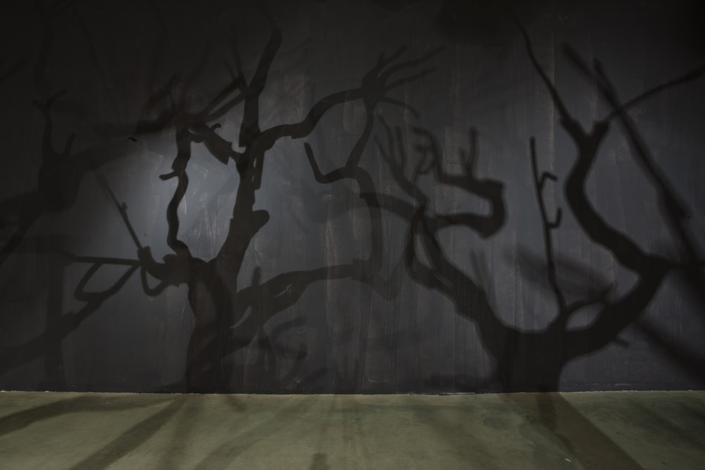 Maya Kramer 玛雅·克莱默, From Where it Springs, 2009
