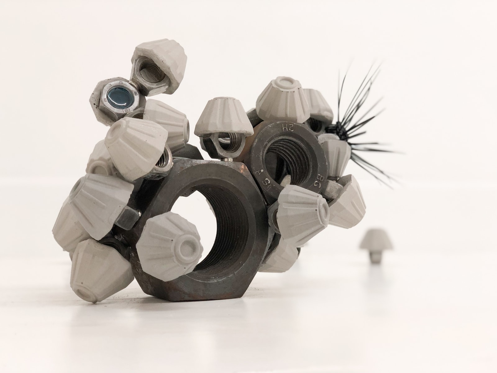 Leelee Chan 陳麗同, Barnacles 藤壶, 2019
