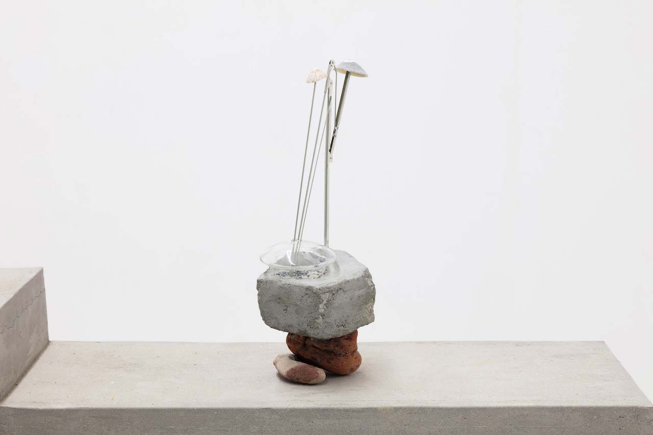 Leelee Chan 陳麗同, Transmitter 传送者, 2017