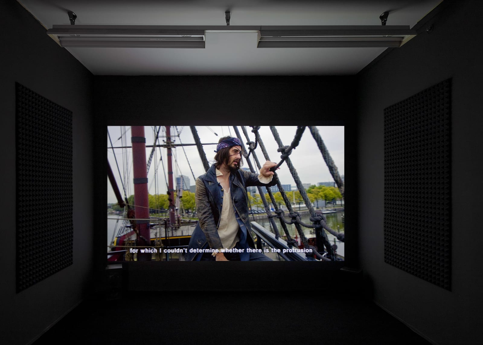 Feng Chen 冯晨, Pirate 海盗, 2014