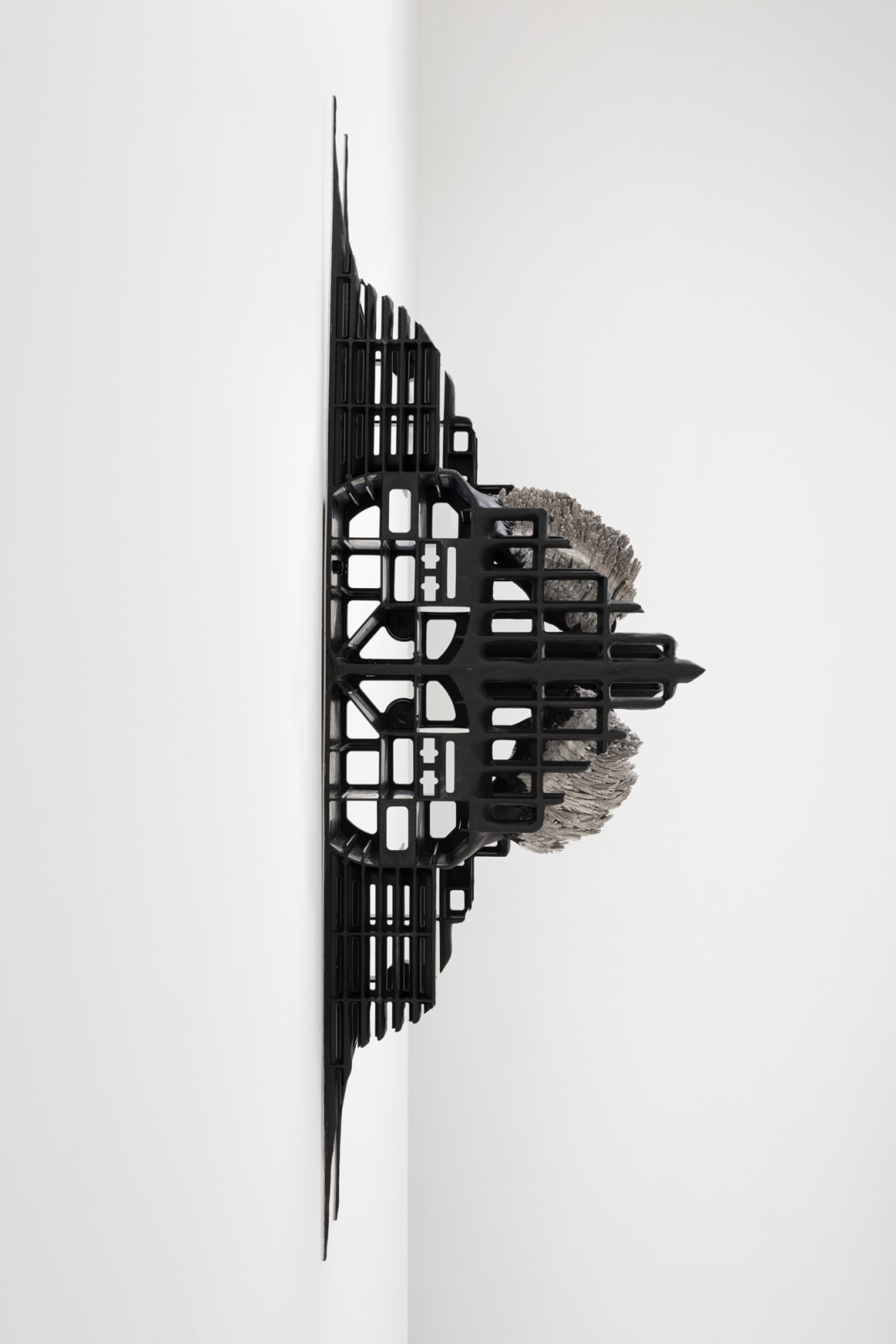 Leelee Chan 陳麗同, Moth (Silver Cloud) 蛾（银云）, 2023