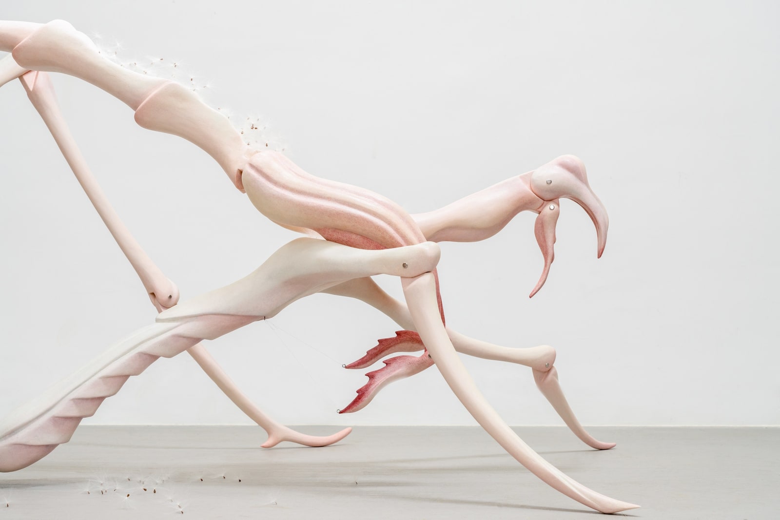 Liao Wen 廖雯, Tears of the Succubus 撒克巴斯的泪水, 2024