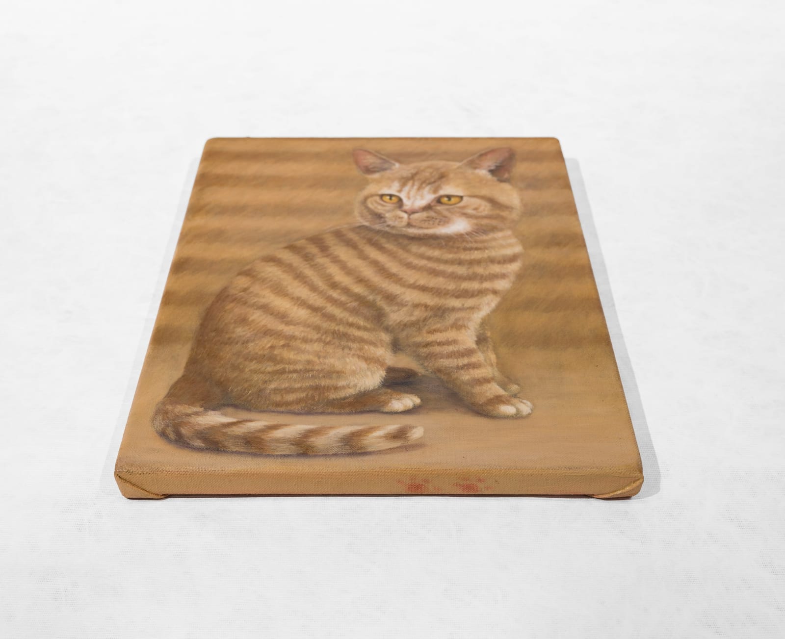 Ryosuke Kumakura 熊倉良介, Cat 猫, 2020