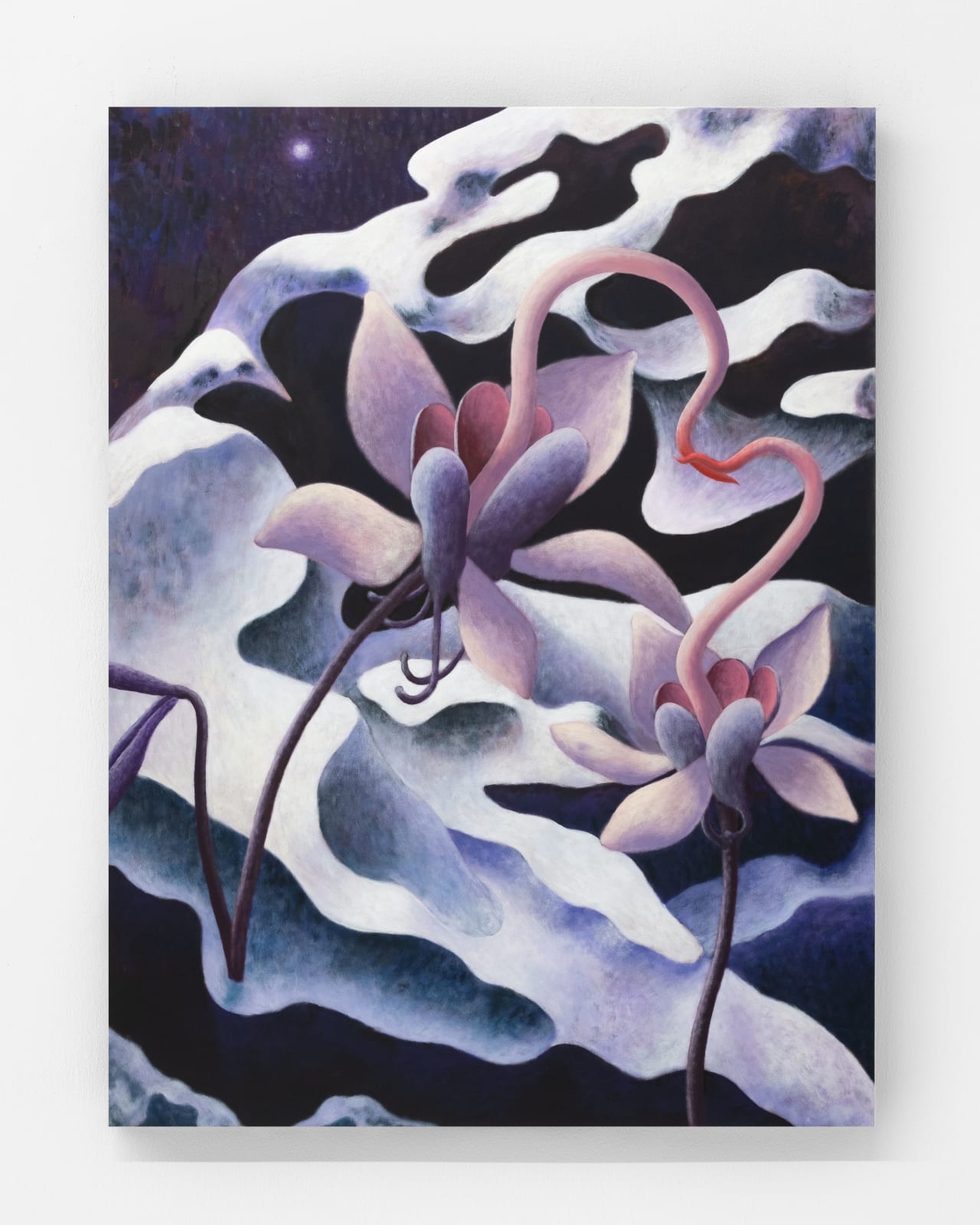 Mevlana Lipp 梅夫拉纳·利普, Serpentine 蜿蜒, 2025