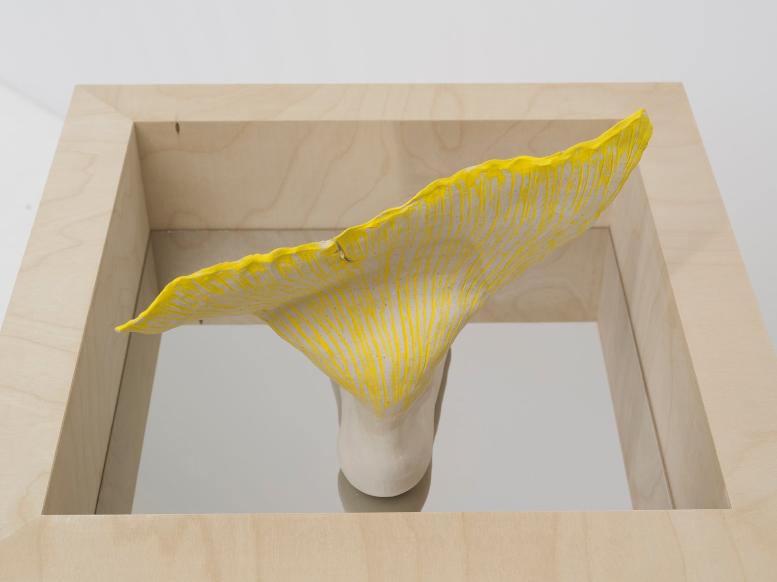 Miranda Fengyuan Zhang 张丰渊, FF007, 2025