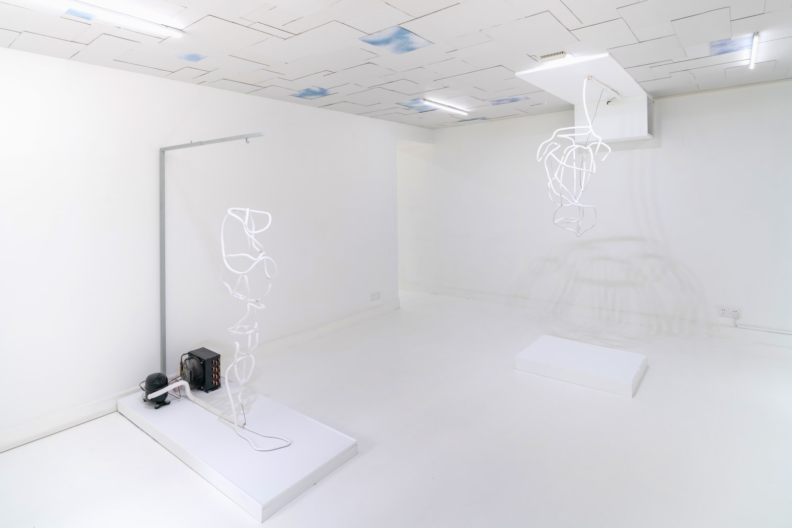 Maya Kramer 玛雅·克莱默, Decoy 圈套, 2018