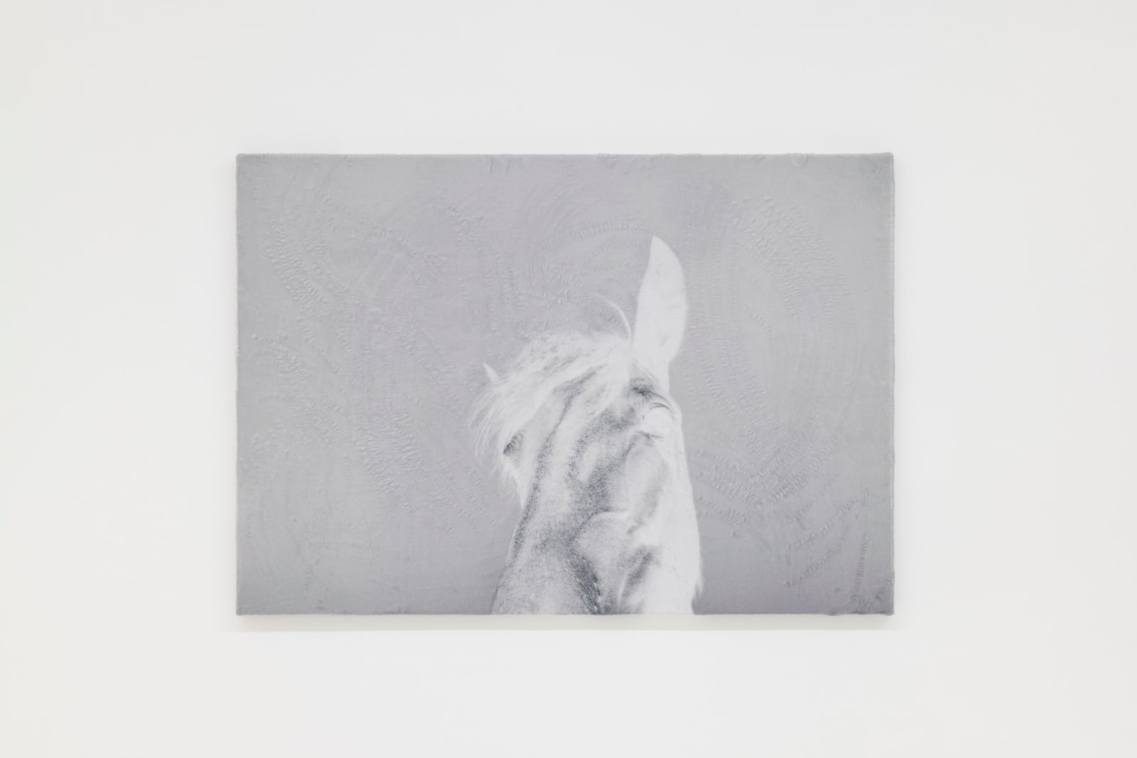 Luca Campestri 卢卡·坎佩斯特里, Like velvety scars 像天鹅绒般的伤痕, 2025