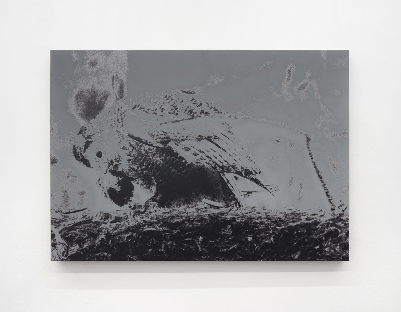 Luca Campestri 卢卡·坎佩斯特里, The dreamer slept but did not dream 梦者沉睡却未曾做梦, 2024
