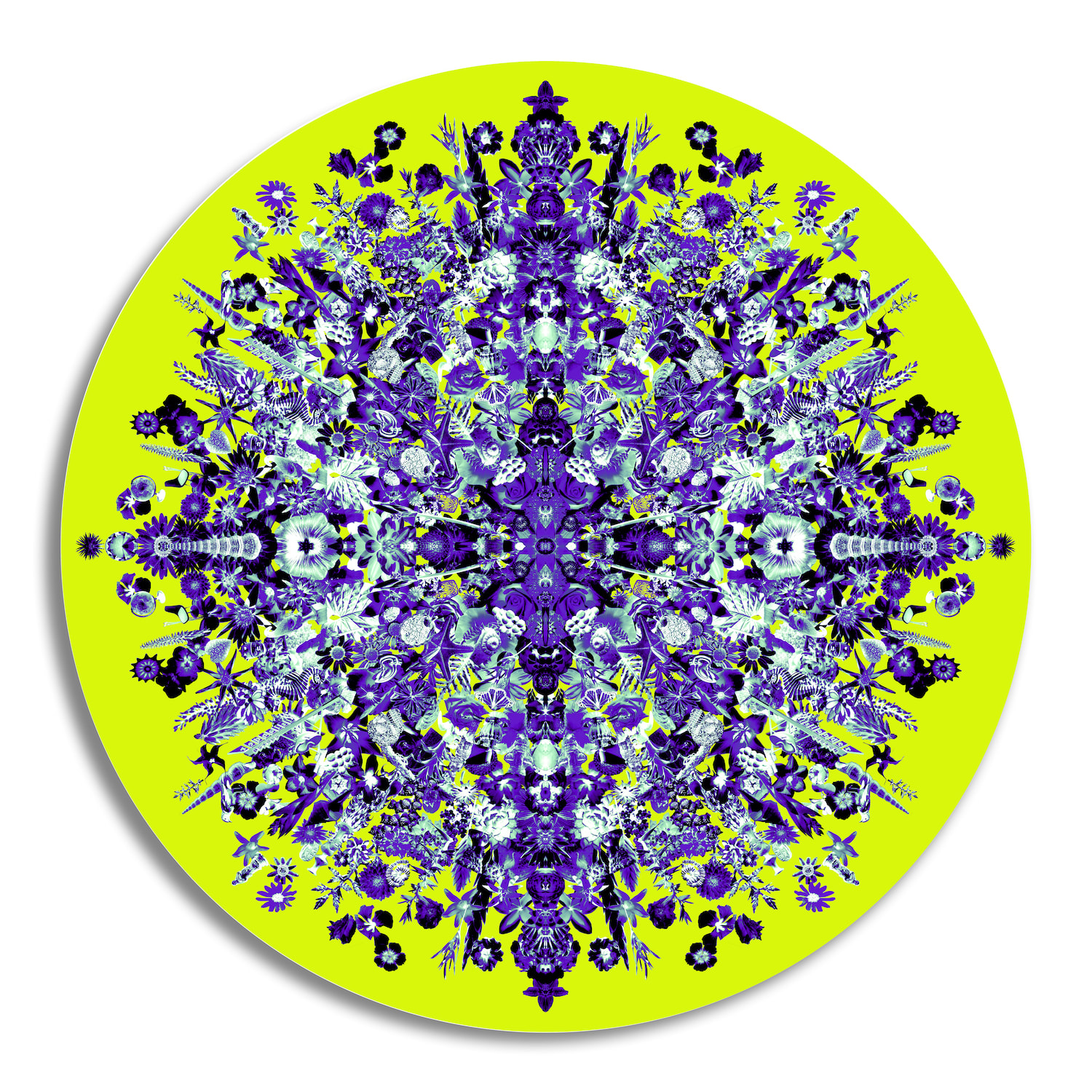 Carlos Betancourt, Re-Collections Cosmic (round), , 2016-17
