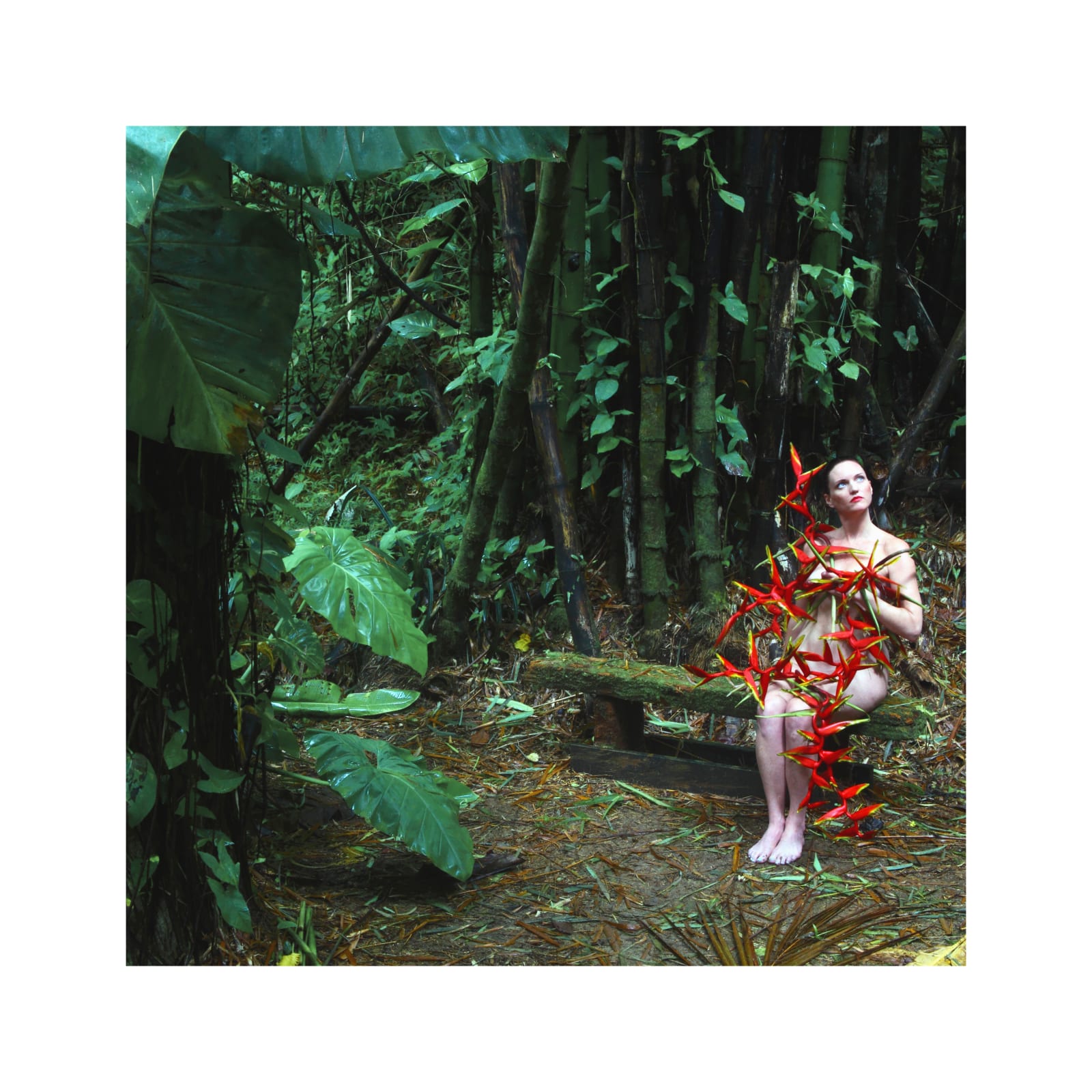 Carlos Betancourt, The Enchanted Garden, Casa Flamboyant I, 2010