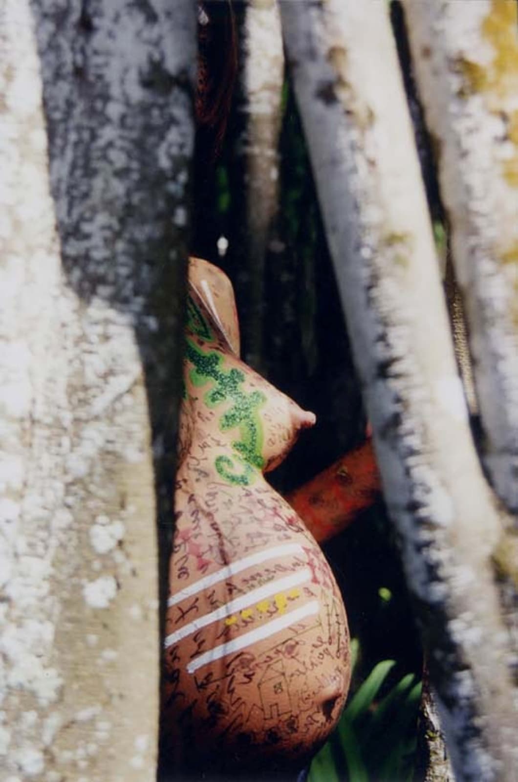 Carlos Betancourt, Iguanaboina, La Cueva Pintada, 2001