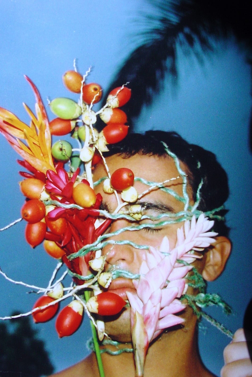 Carlos Betancourt, Bejigante en la Mariposa (Costa Rica), IV, 2004