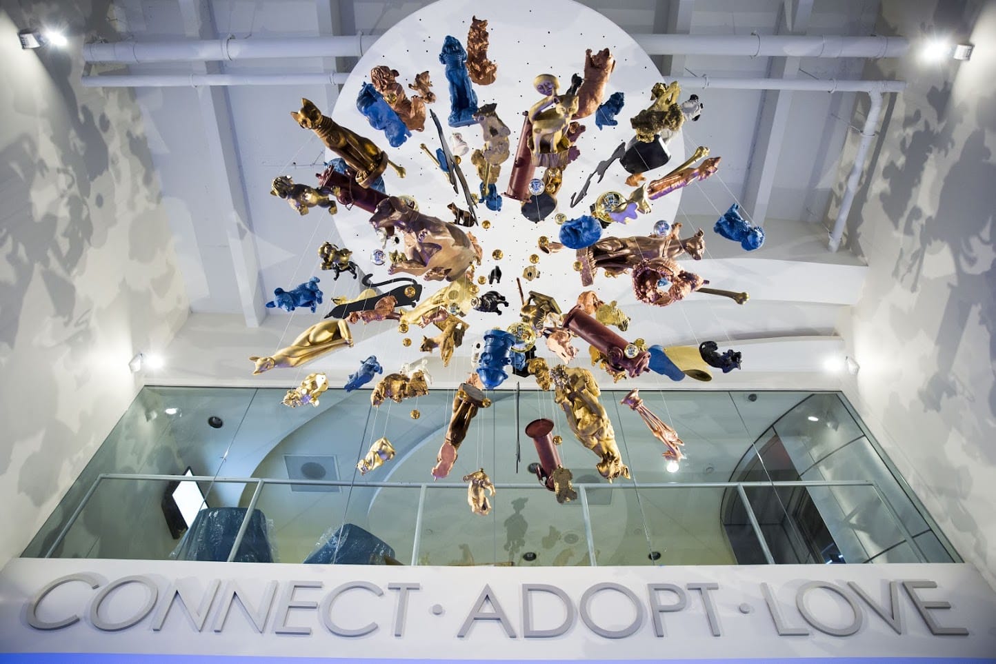 Carlos Betancourt in collaboration with Alberto Latorre, Splendor in the Shelter: Its Raining Cats and Dogs, 2014