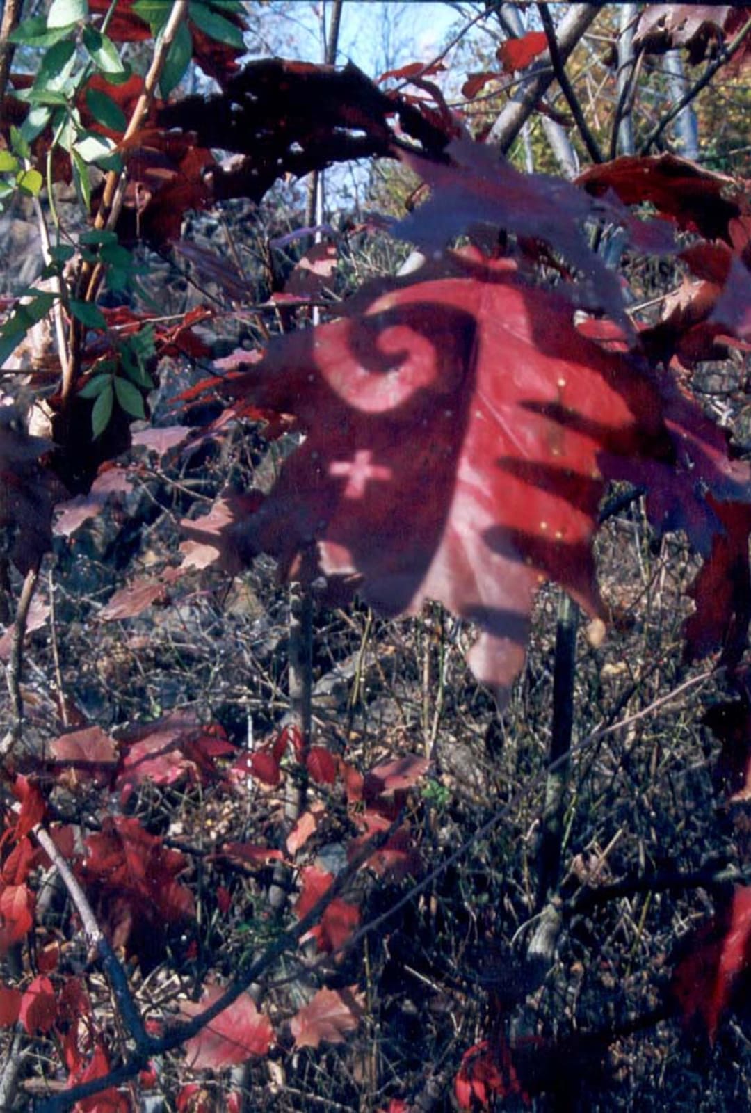 Carlos Betancourt, First Snow, Goodbye Richard Blanco, Hartford, Connecticut I, 1999-2000
