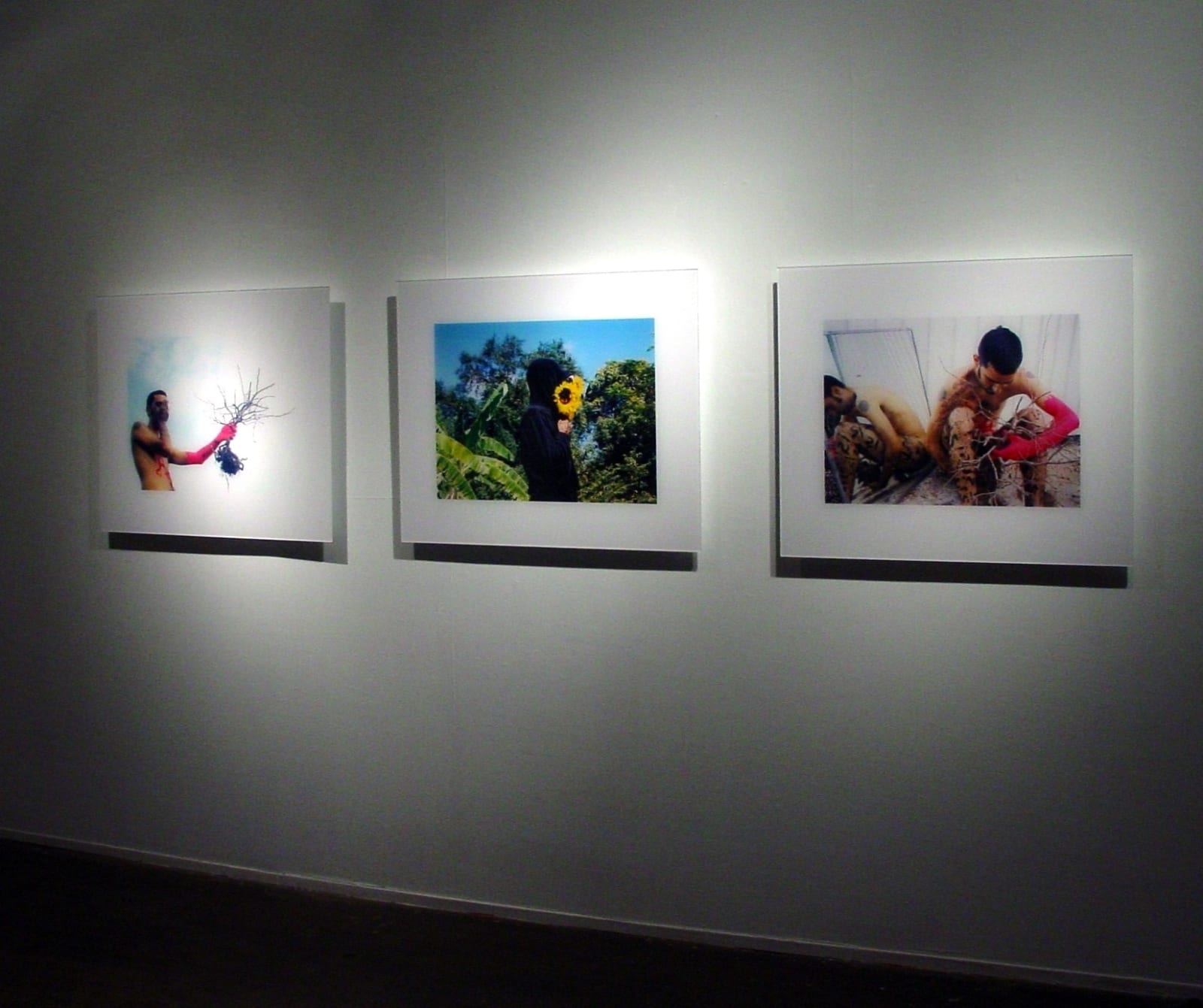 Carlos Betancourt, Interventions in Wynwood II, (exhibit detail), 2003