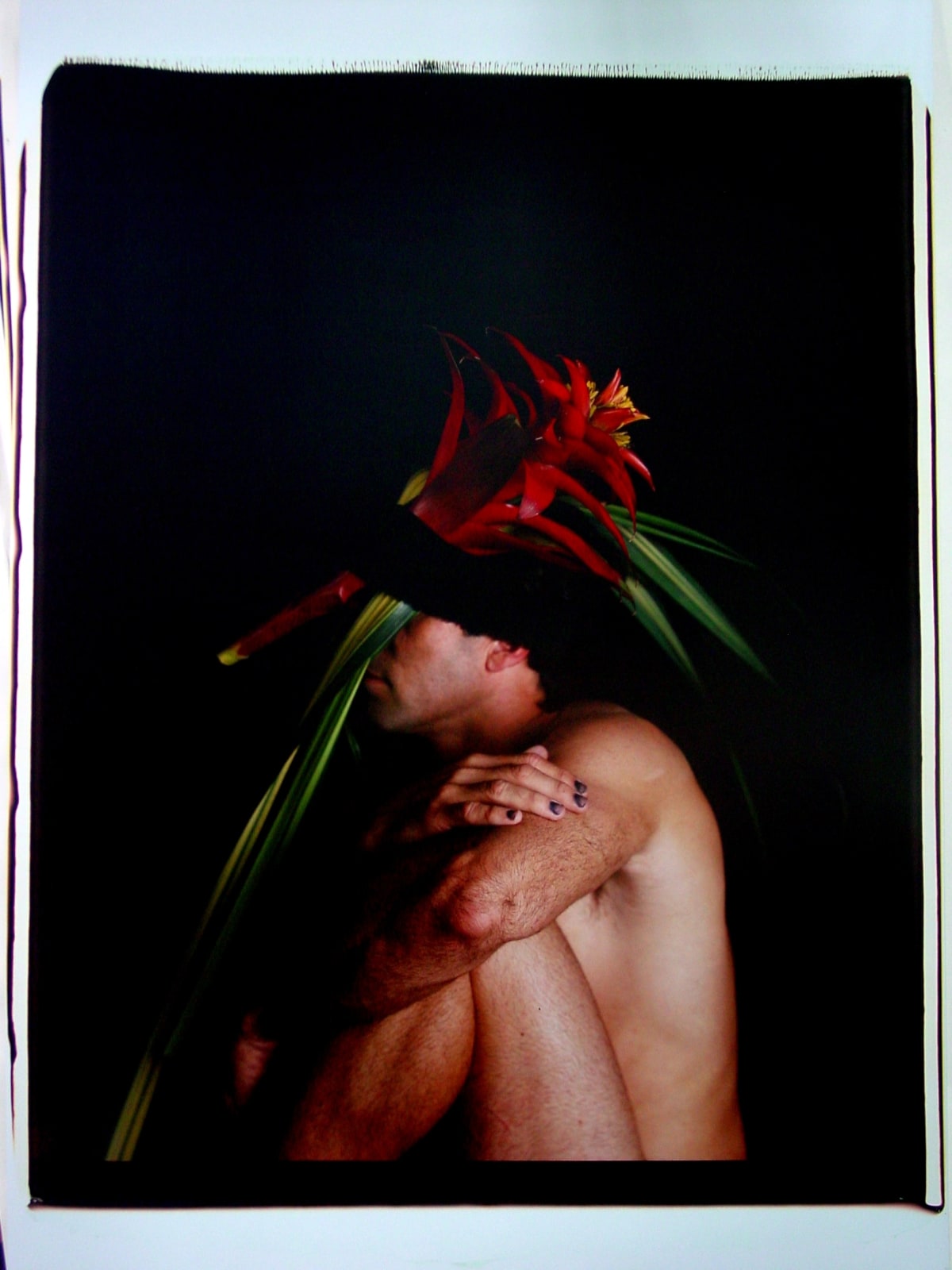 Carlos Betancourt, Back Stories at Hobe Sound L, 2004